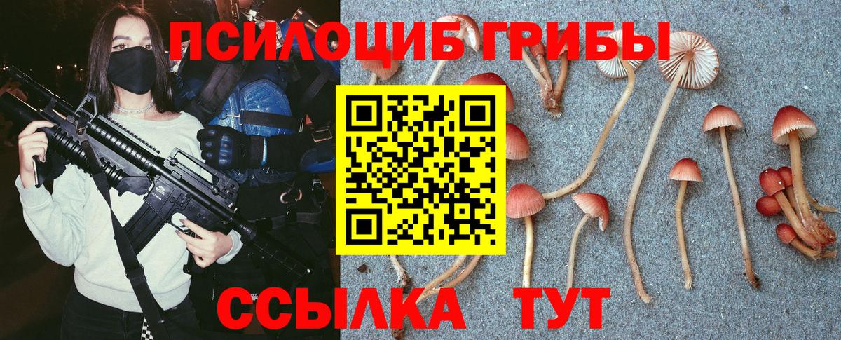 Псилоцибиновые грибы мицелий Гуково